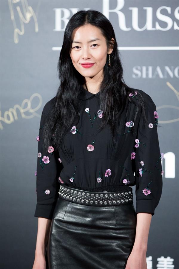 Liu Wen