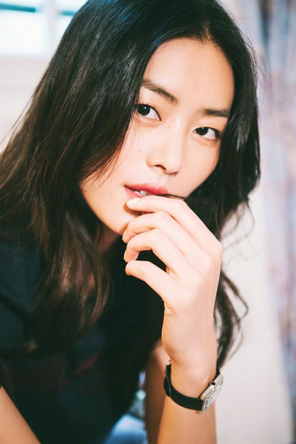 Liu Wen