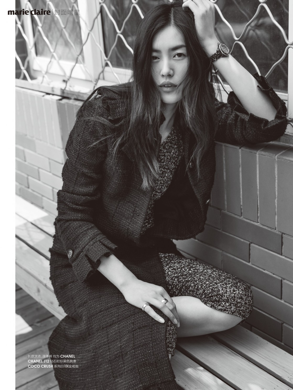 Liu Wen