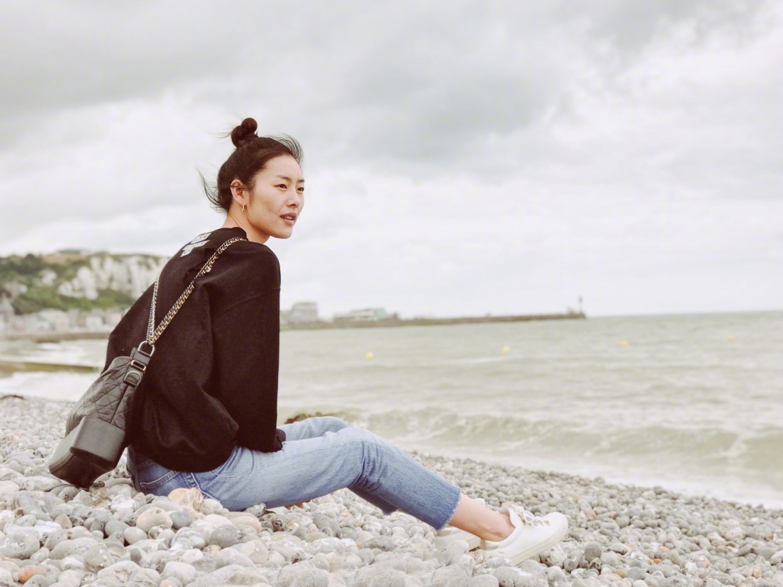Liu Wen