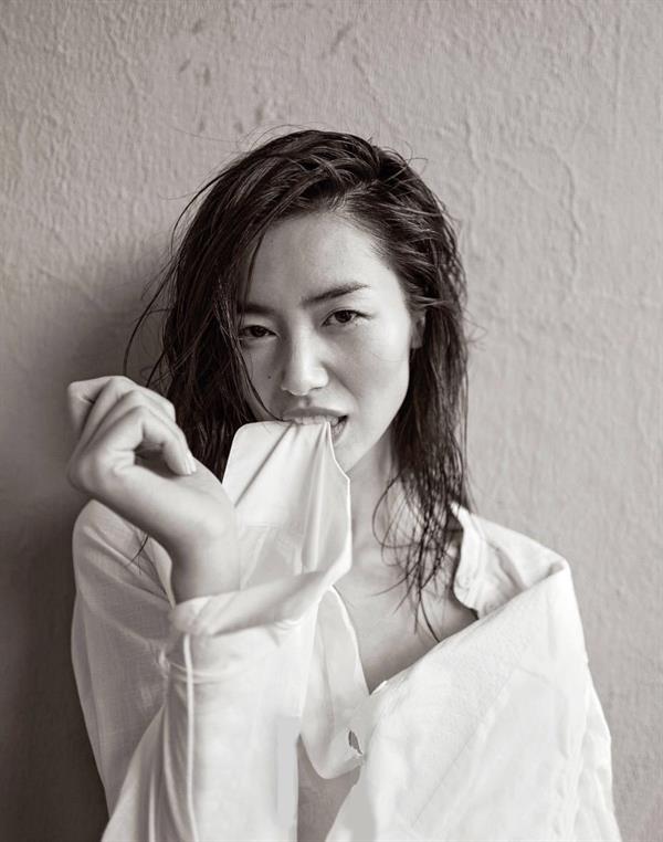 Liu Wen