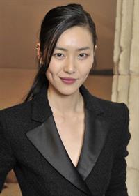 Liu Wen