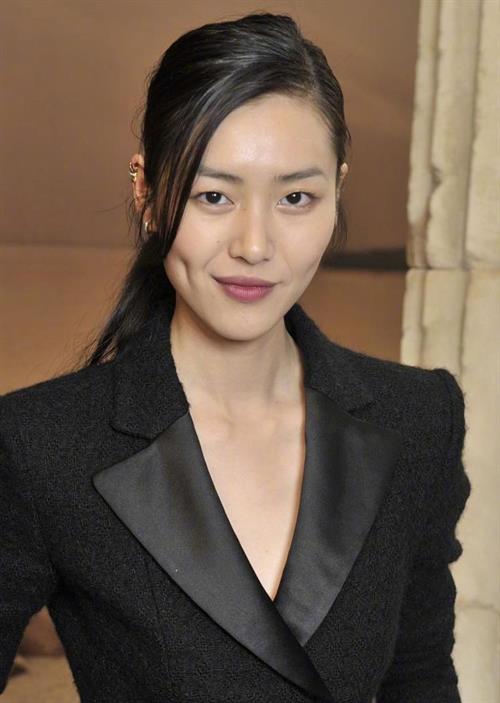Liu Wen