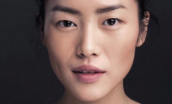 Liu Wen