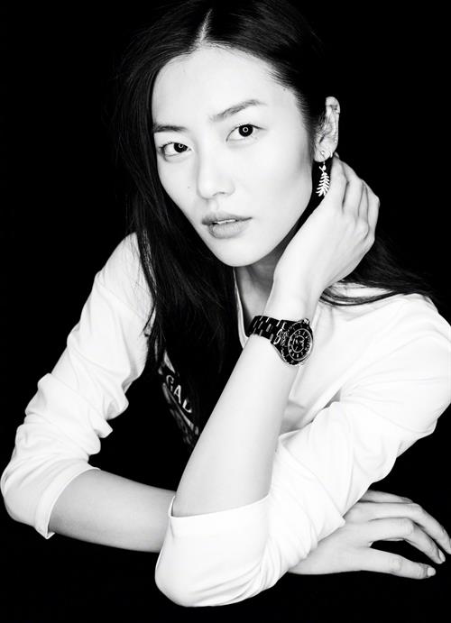 Liu Wen