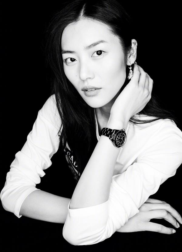 Liu Wen