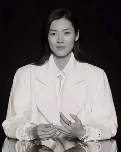 Liu Wen