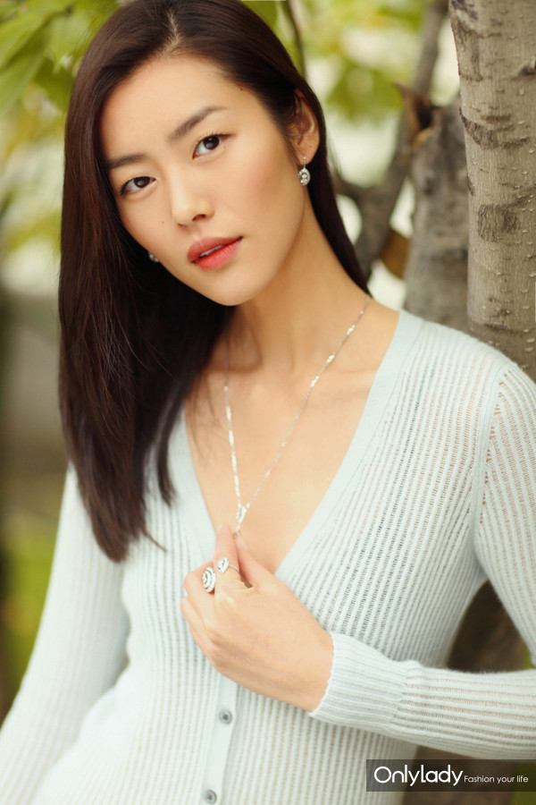 Liu Wen