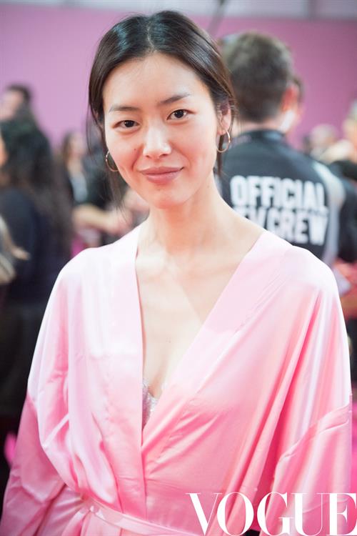 Liu Wen