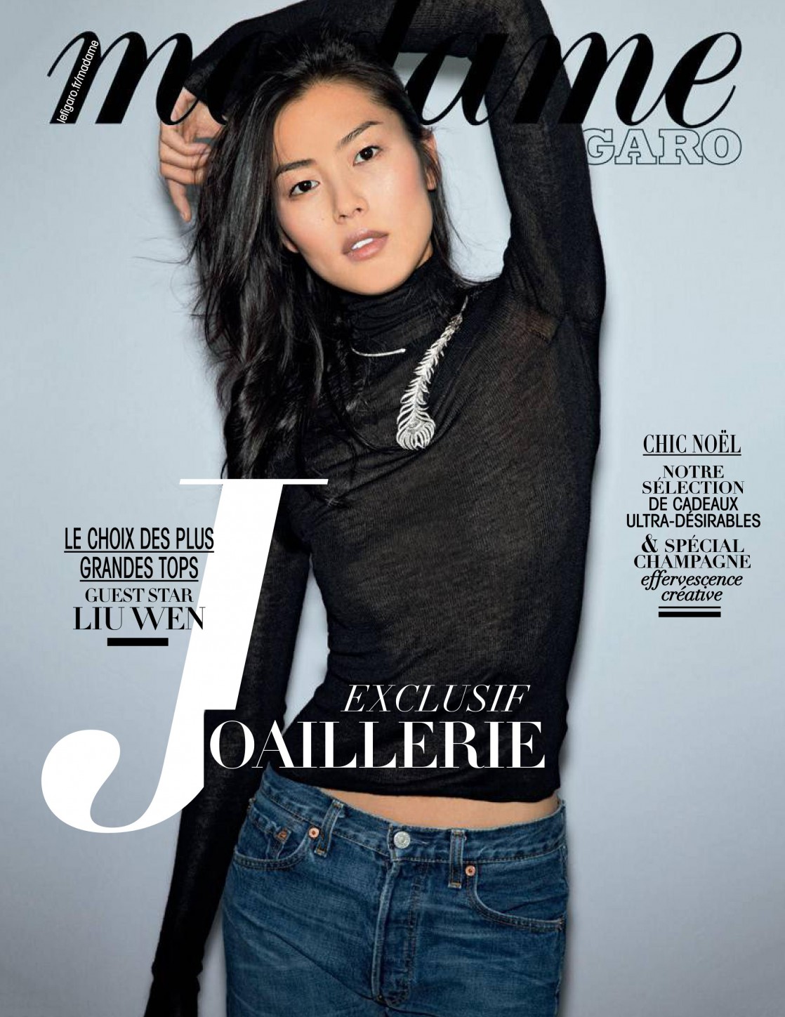 Liu Wen