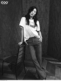 Liu Wen