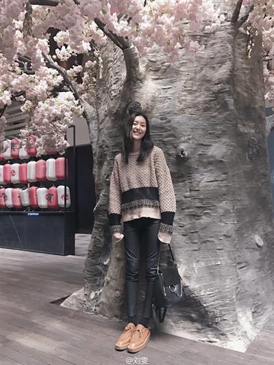 Liu Wen