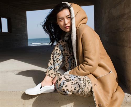 Liu Wen