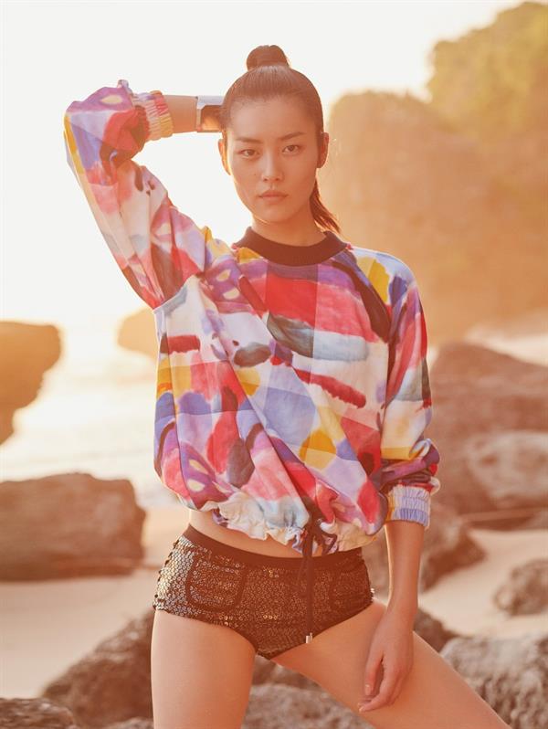 Liu Wen