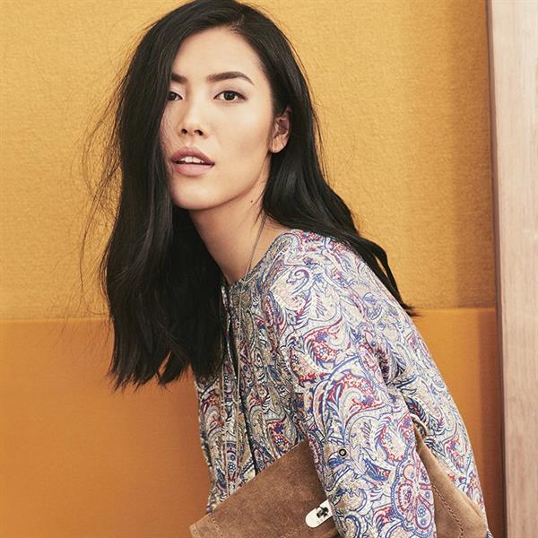 Liu Wen