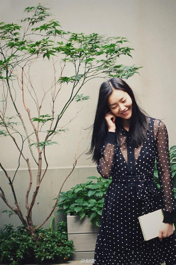 Liu Wen