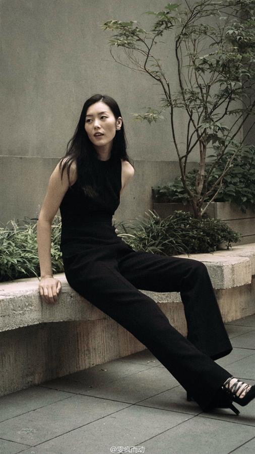 Liu Wen