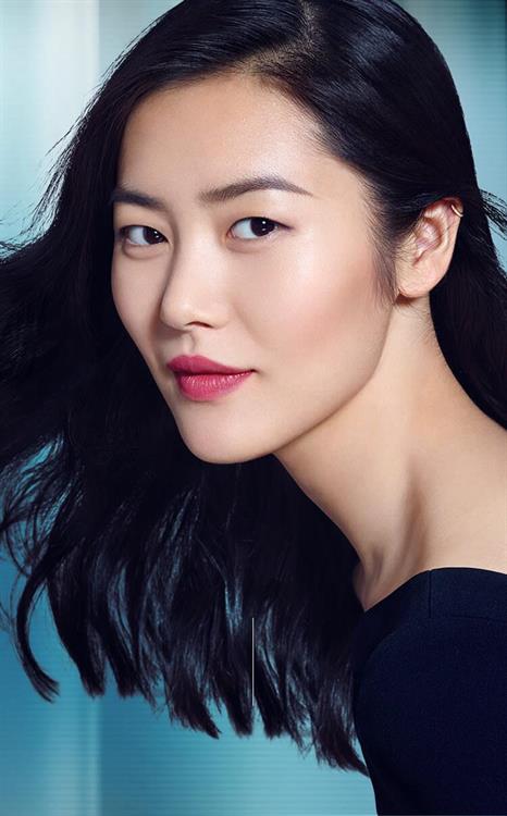 Liu Wen