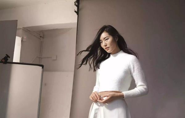 Liu Wen