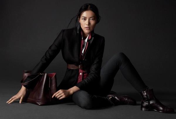 Liu Wen