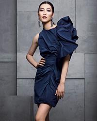 Liu Wen