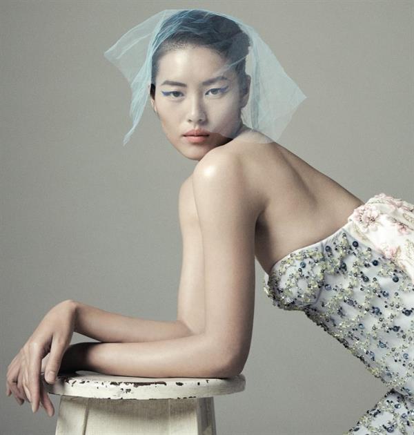 Liu Wen