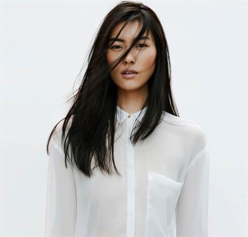 Liu Wen