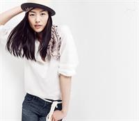 Liu Wen