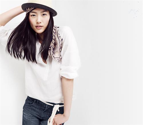 Liu Wen