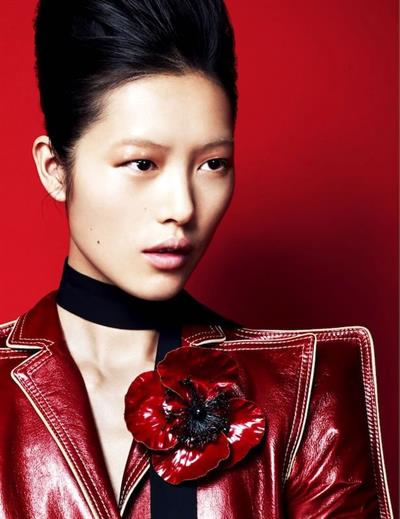 Liu Wen