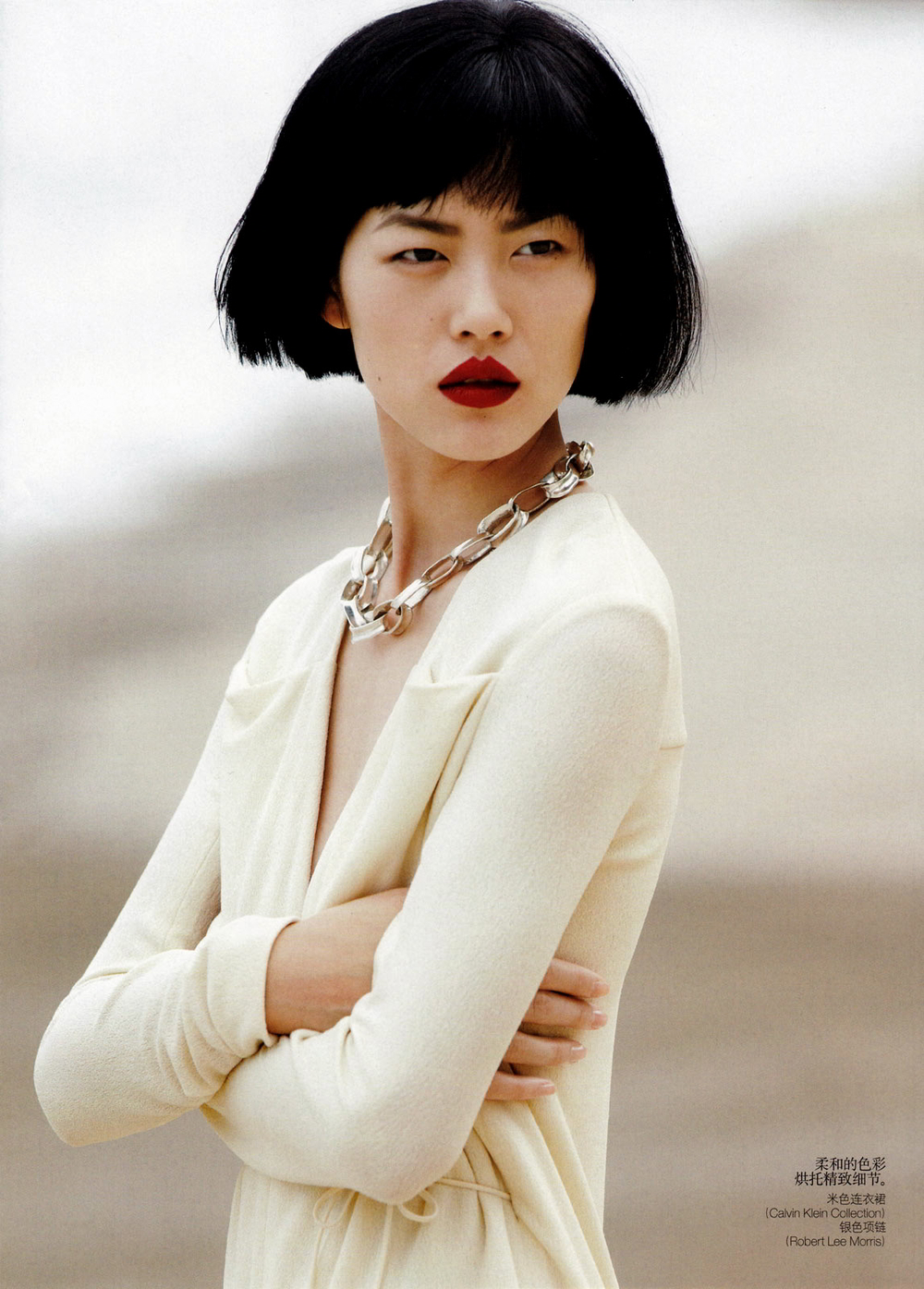 Liu Wen