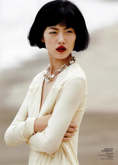 Liu Wen