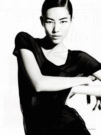 Liu Wen