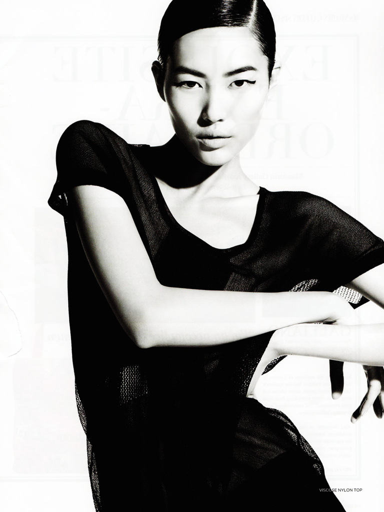 Liu Wen