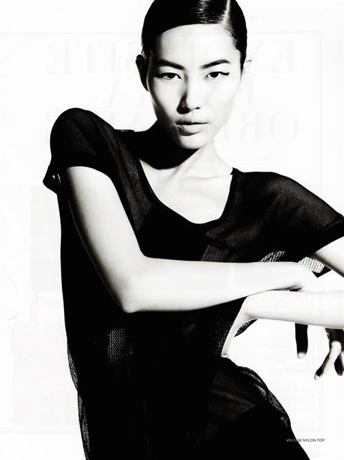 Liu Wen