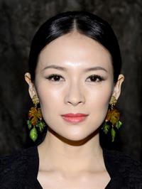 Zhang Ziyi