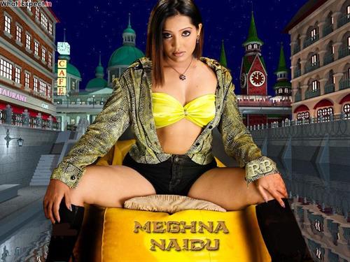 Meghna Naidu in lingerie