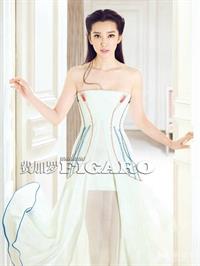 Li Bingbing