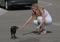 AnnaLynne McCord skydives from 18,000 feet at a charity event, Lompoc August 16, 2014