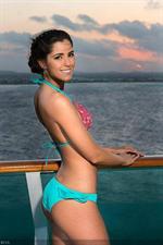 Miss Universe 2015