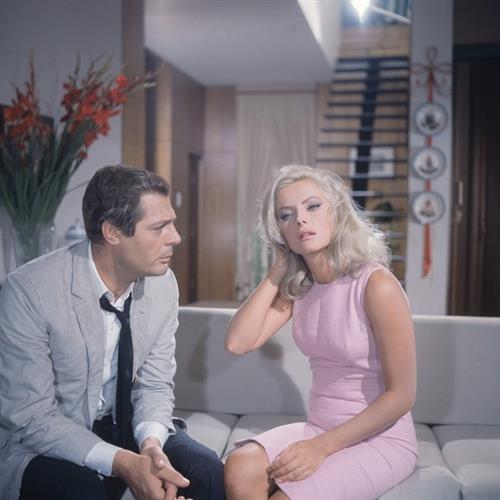 Virna Lisi Divers Pics Pic with Marcello Mastroianni 