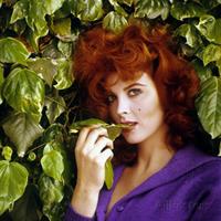 Tina Louise