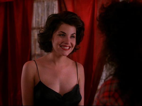 Sherilyn Fenn