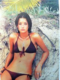 Janice Dickinson in a bikini