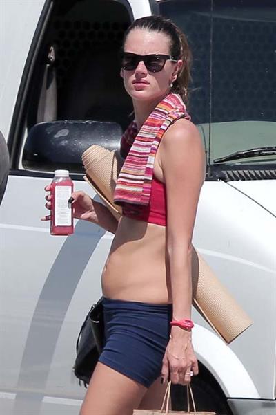 Alessandra Ambrosio in a bikini