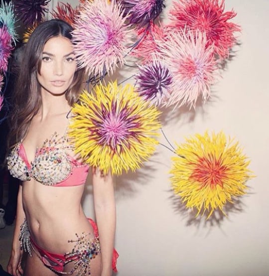 Lily Aldridge in lingerie