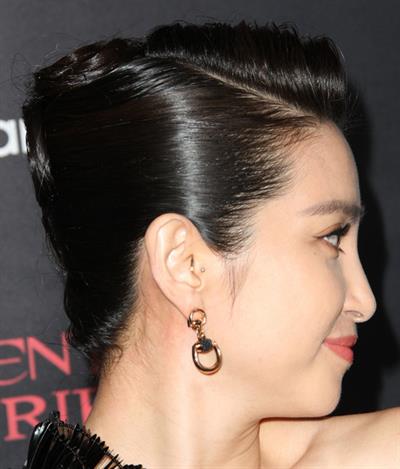 Li Bingbing