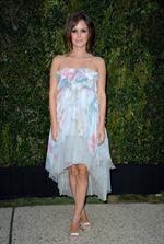 Rachel Bilson Attends the A Celebration Of Art Nature And Technology channel diner in Los Angeles (31.05.2013) 