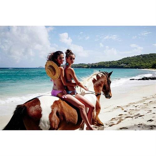 Taylor Marie Hill in a bikini