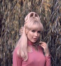 Barbara Eden